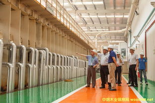 德胜（苏州）洋楼创始人聂圣哲先生到访丰林集团，共话数字校园建设新篇章