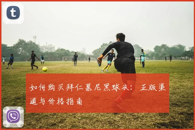 如何购买拜仁慕尼黑球衣:正版渠道与价格指南
